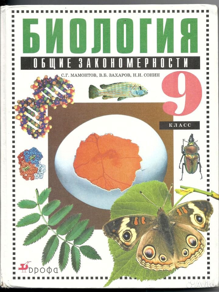 Рабочая тетрадь биология 9 класс мамогтова