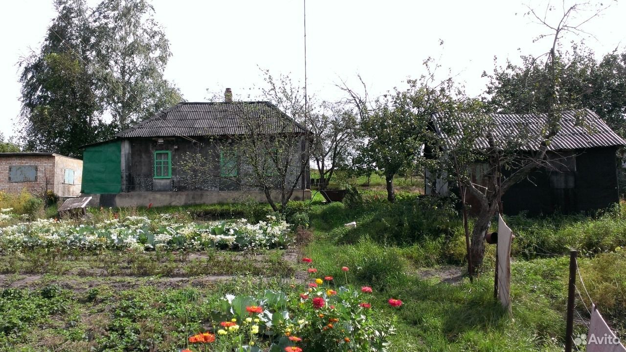 Воронеж Семилукский Район Купить Дом