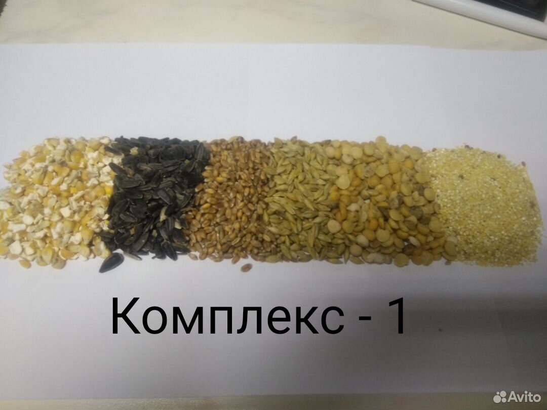 Зерно-смеси купить на Зозу.ру - фотография № 1