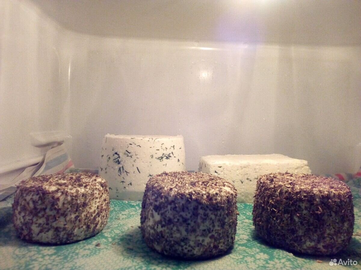 Домашний сыр, молоко сгущённое купить на Зозу.ру - фотография № 2