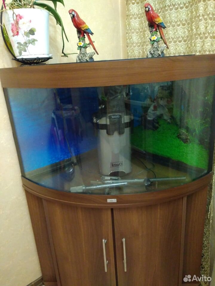 Продам аквариум juwel 200 л купить на Зозу.ру - фотография № 1