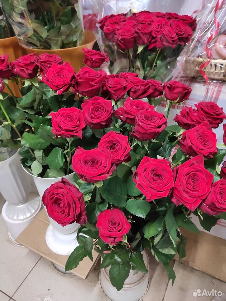 Розы от30 купить на Зозу.ру - фотография № 1
