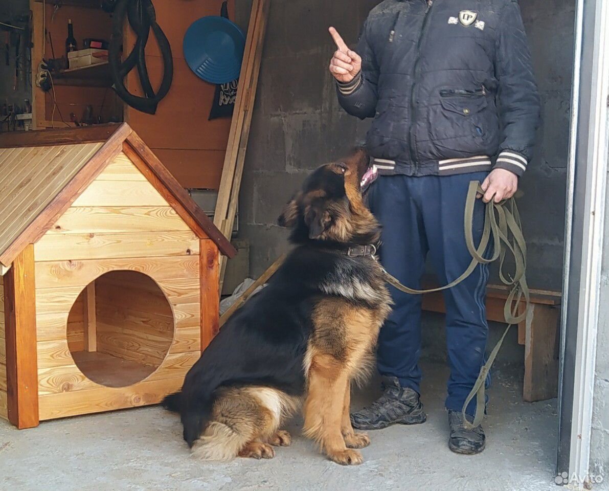 Будка для собаки купить на Зозу.ру - фотография № 6