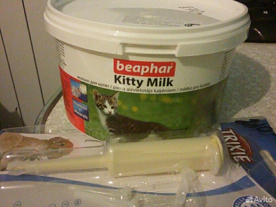 Заменитель молока для котят beaphar Kitty Milk купить на Зозу.ру - фотография № 1
