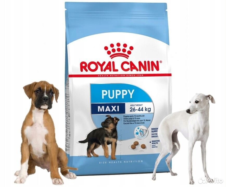 Роял канин макси паппи. Royal Canin Maxi Puppy 20. Royal Canin Maxi Puppy 20 кг. Роял макси Паппи 20.