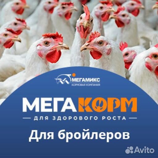 Комбикорм для сельскохозяйственных животных и птиц купить на Зозу.ру - фотография № 6