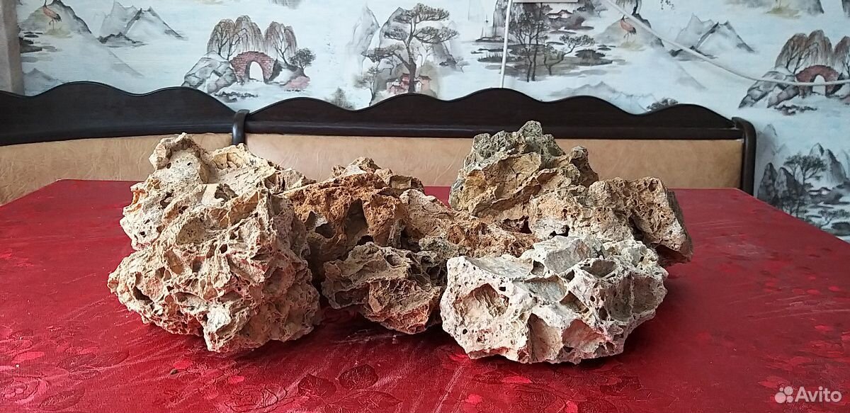 Вулканический камень для аквариума купить на Зозу.ру - фотография № 4