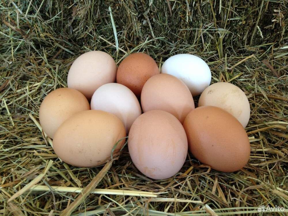 Яйца домашние крупные купить на Зозу.ру - фотография № 1