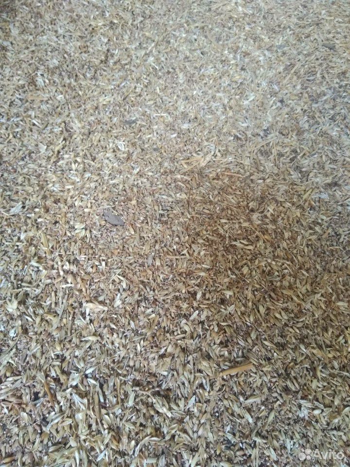 Пшеничные отходы купить на Зозу.ру - фотография № 2