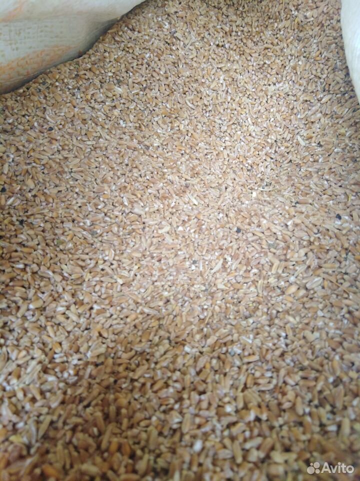Сечка пшеничная купить на Зозу.ру - фотография № 2