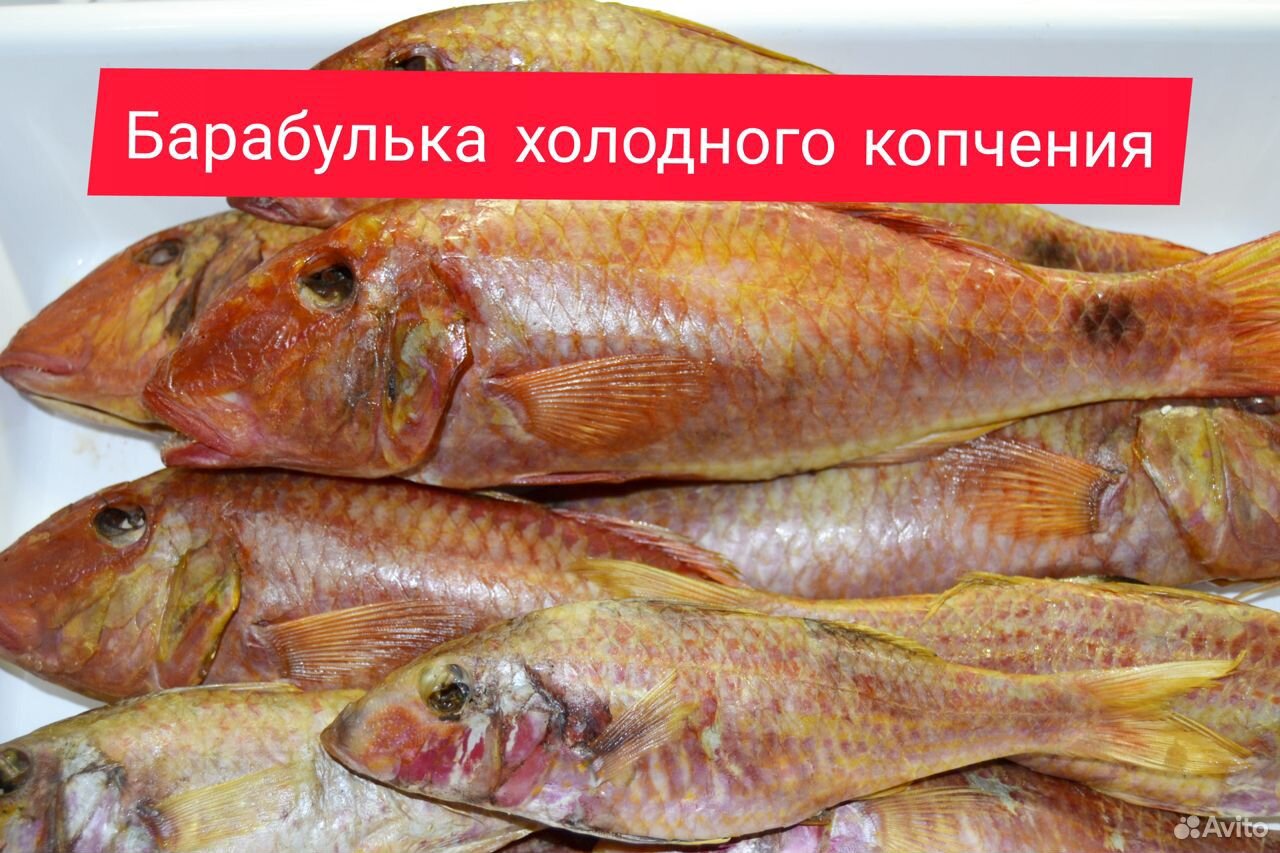 Рыба. Рыбец купить на Зозу.ру - фотография № 9