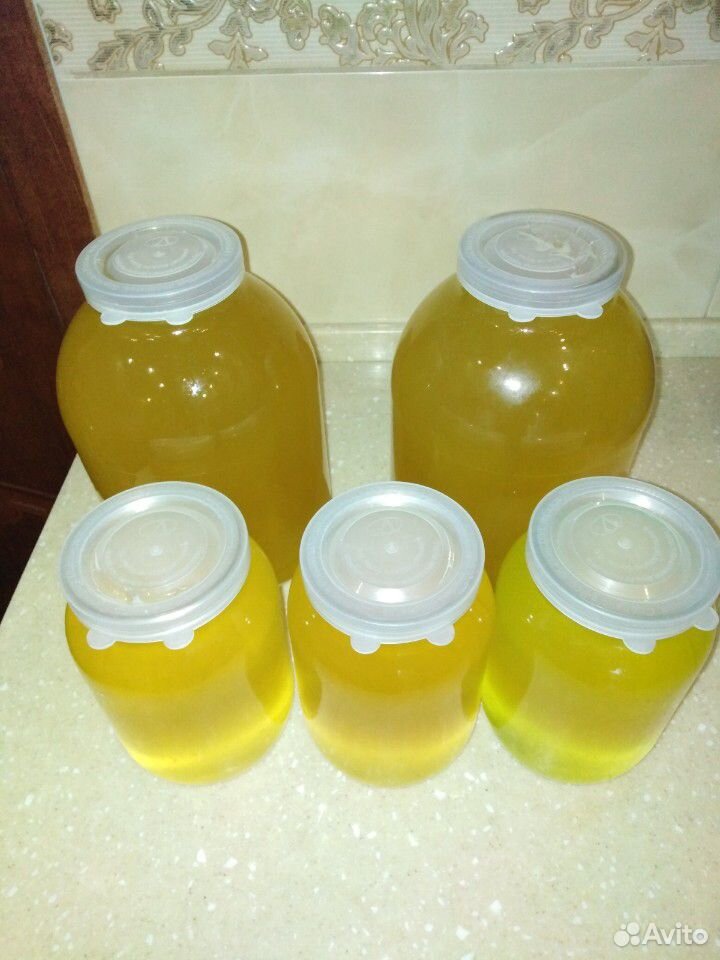 Алтайский мёд купить на Зозу.ру - фотография № 6