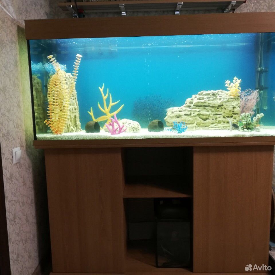 Украшение для аквариума купить на Зозу.ру - фотография № 4