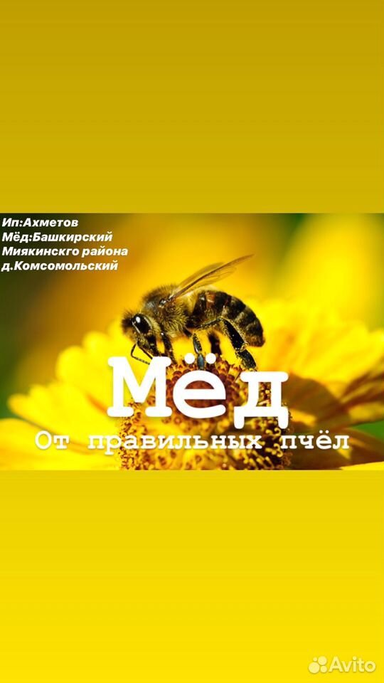 Мёд цветочный, сотовый купить на Зозу.ру - фотография № 1