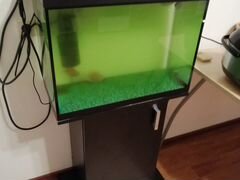 Новый аквариум