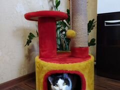Домик-когтеточка для котов и кошек