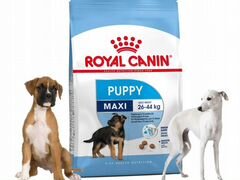 Корм для собак royal canin maxi puppy