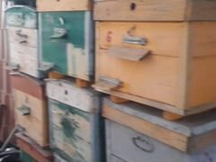 Ульи Ящик для пчёл