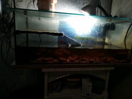 Черепахи аквариум и фильтр