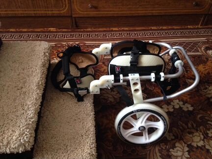 Инвалидная коляска для маленьких собак