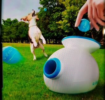 Катапульта iFetch игрушка для собак + 5 мячей