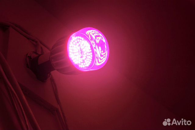 Фитолампа для растений uniel LED-M80-20W