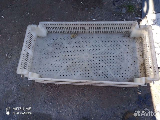 Ящик пластиковый для инкубатора