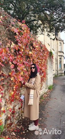 Репетитор английского языка носитель