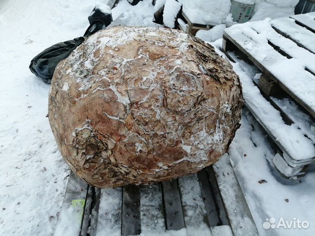 Сувель (кап)