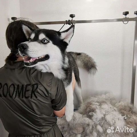 Груминг / стрижка собак и кошек профессиональный