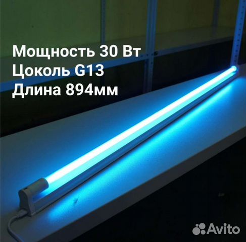 Кварцевая лампа для животных мощная