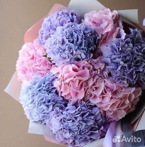 Авторские букеты Гортензия нежная для нее