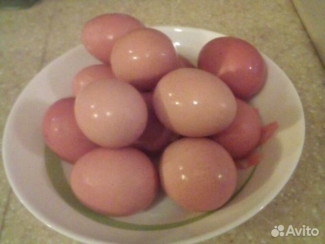 Яйцо Свердловское. Купить яйца в свердловской области