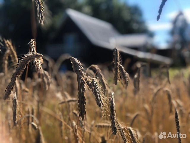 

Дом 80 м² на участке 50 сот.
