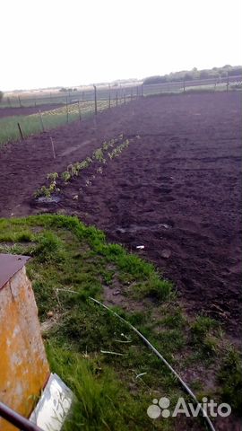 Дом 80 м² на участке 8 сот. Дом 80 м² на участке 8 сот.