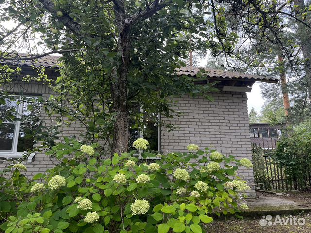 

Дом 53 м² на участке 2 сот.