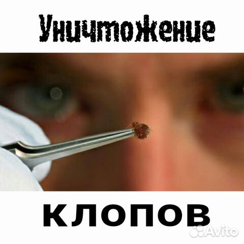 Мы травим качественно тараканов, клопов,муравьев Мы травим качественно тараканов, клопов,муравьев