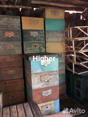 Продаю товары для пчеловодства купить на Зозу.ру - фотография № 4