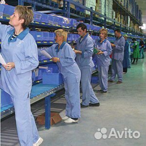 Разнорабочие от 1-50 человека Разнорабочие от 1-50 человека