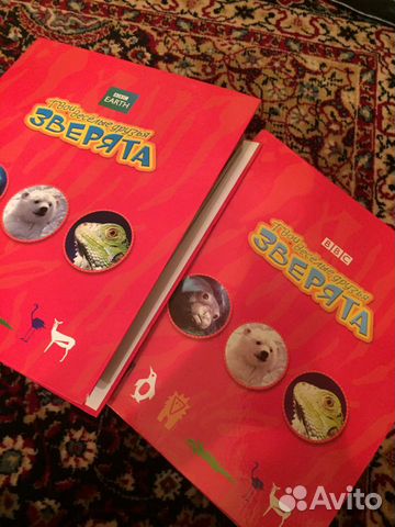 Коллекция «твои веселые друзья зверята»