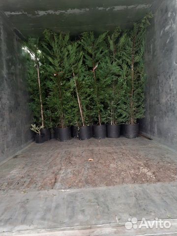 Грузоперевозки,переезды,24/7 Грузоперевозки,переезды,24/7