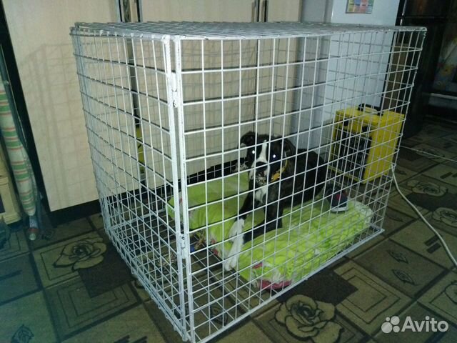 Клетка для большой собаки комнатная купить на Зозу.ру - фотография № 2