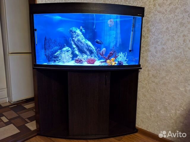 Аквариум Aqua plus угловой 170 литров купить на Зозу.ру - фотография № 1