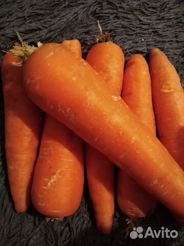 Продаю морковь купить на Зозу.ру - фотография № 1