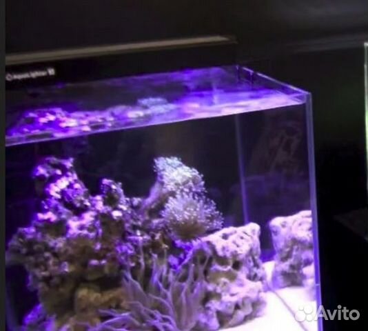 Светильник для морского аквариума AquaLighter mari купить на Зозу.ру - фотография № 1