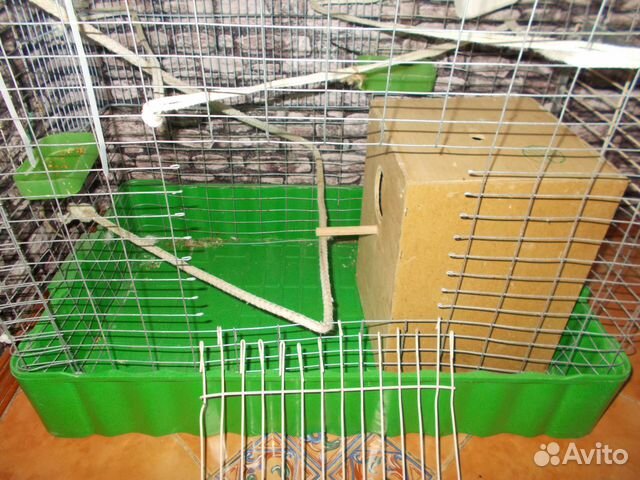 Клетка для разведения попугаев с гнездом купить на Зозу.ру - фотография № 2