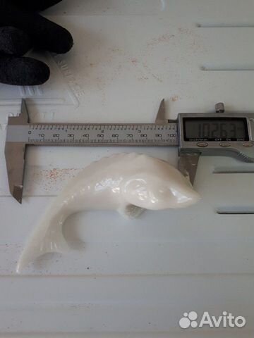 Белуга (рыбка)