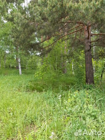 Дверь Рено дастер запчасть Дверь Рено дастер запчасть