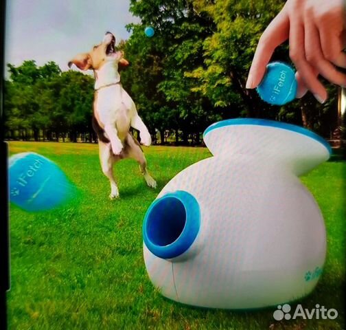 Катапульта iFetch игрушка для собак + 5 мячей