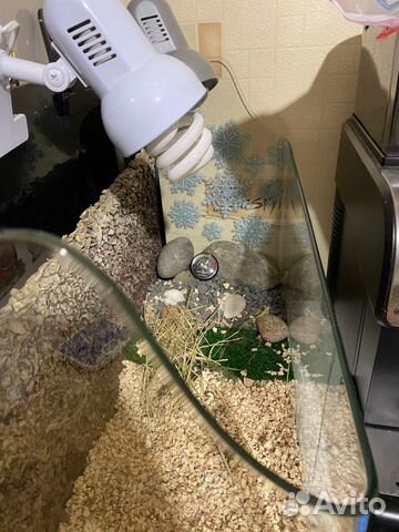 Террариум для черепахи(др животных)